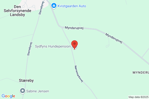 Lille Hundepension, Den