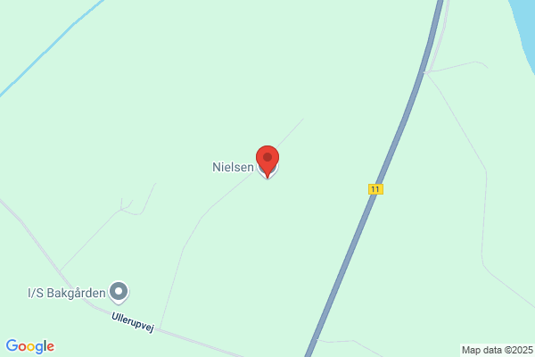 Nielsen, Aksel