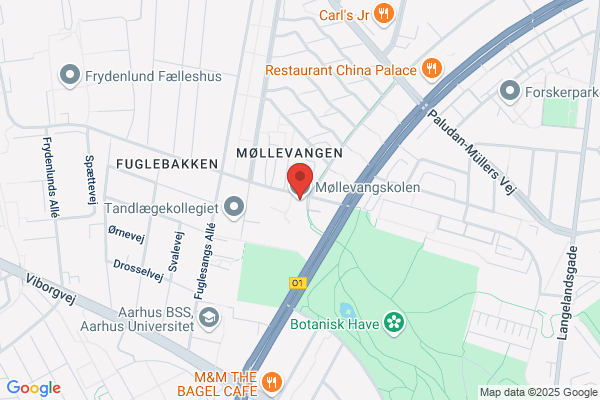 Møllevangskolen