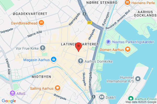 Radikale Venstre, Det