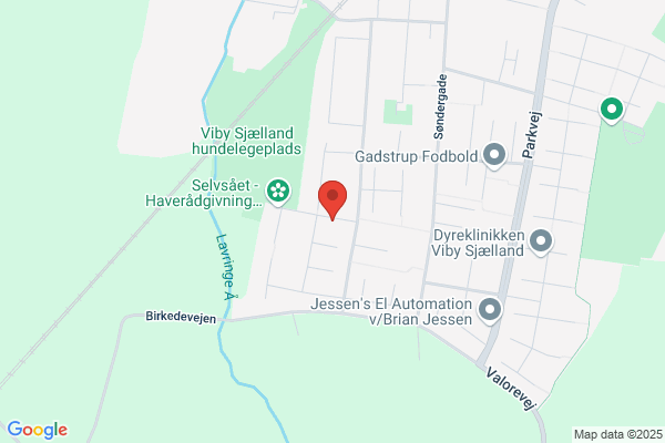 Birkager, Grundejerforeningen