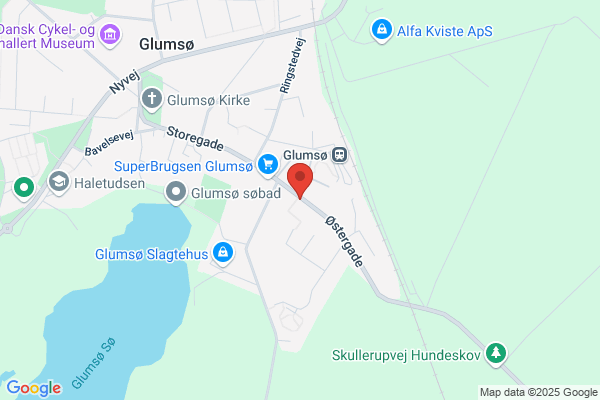 Glumsø biografteater og kulturhus "Biografen", Foreningen