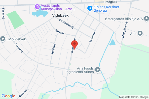 Videbæk Pava Center ApS