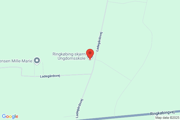 Dagskolen