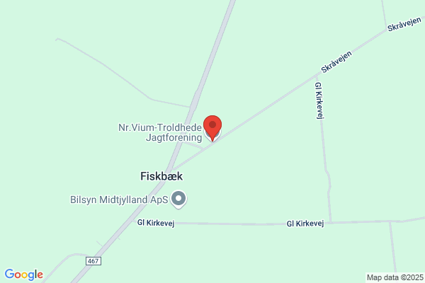 Venstrevælgerforeningen Nr. Vium - Troldhede
