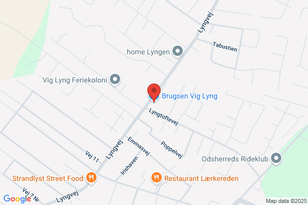 SuperBrugsen Vig Lyng