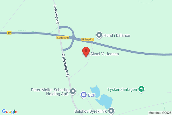 Jensen, Aksel