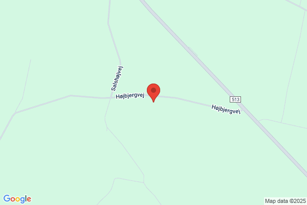 Ryde-Handbjerg Ungdomsforening