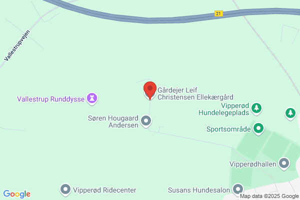 Christiansen Bente Gaarde