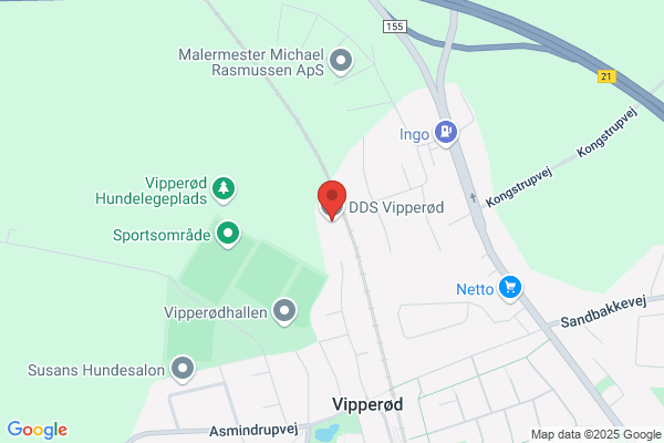KFUK-spejderne i Vipperød