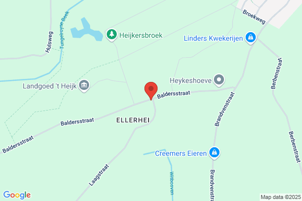 Olesens NIels Transport