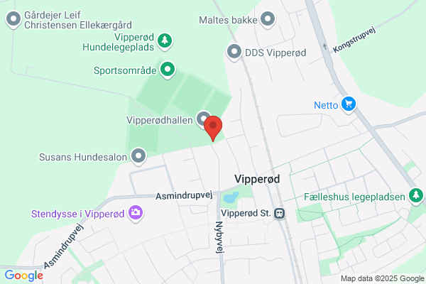 Vipperød Skole