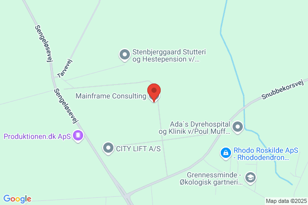 Dueholm Mainframe Consulting ApS