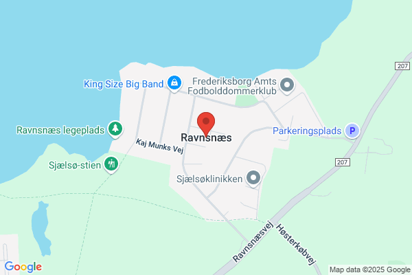 Ravnsnæs, Institutionen