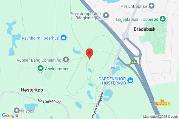Birkerød Erhvervsforening (Lise Kaas)