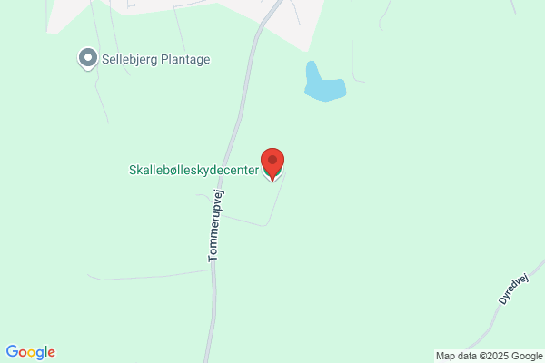 Skallebøllecentret