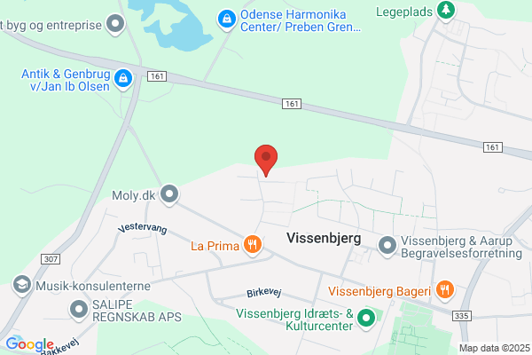 Socialdemokratiet i Vissenbjerg