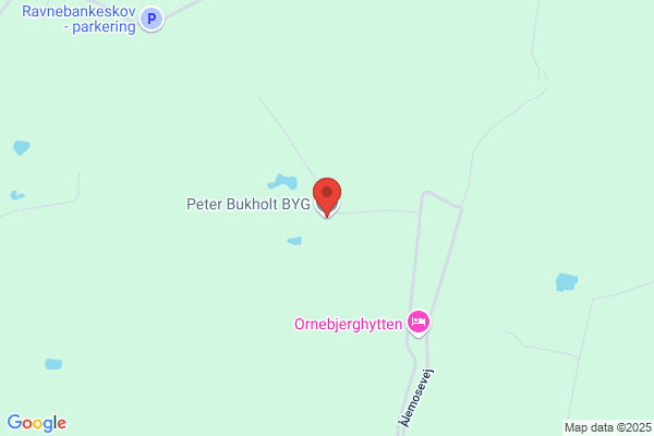 Peter Bukholt Byg