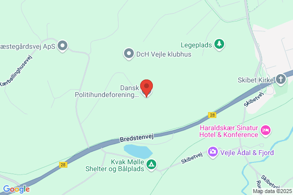 Danmarks Psoriasis Forening, Vejle Amt.