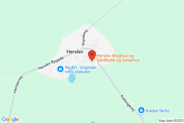Dannebrogstøm'ren