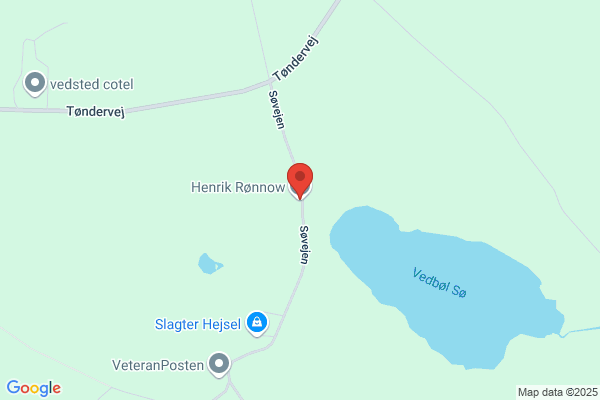 Rønnow Henrik