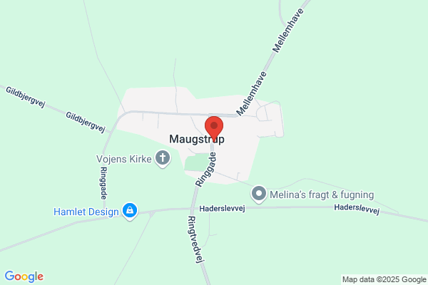 Fremskridtspartiet i Vojens