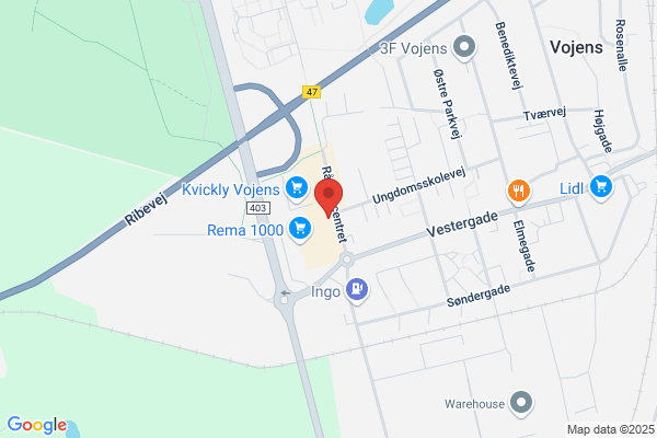 Lions Club Vojens