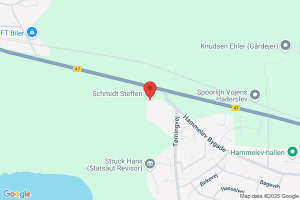 Schmidt, Hans-Christian