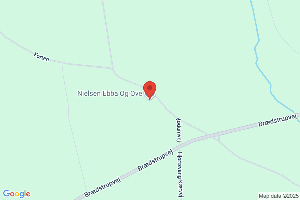 Nielsen, Lone Højer