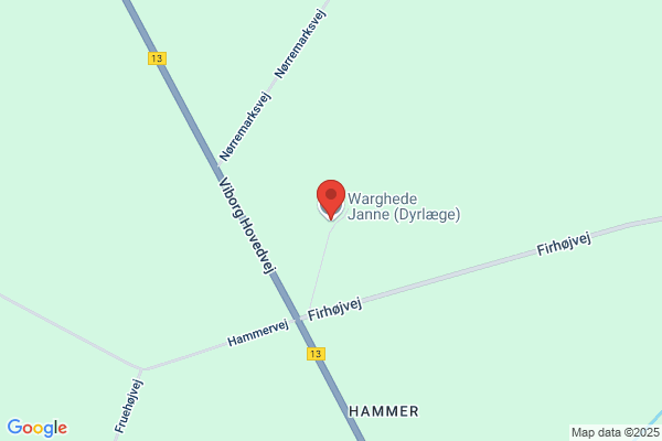 Warghede, Janne