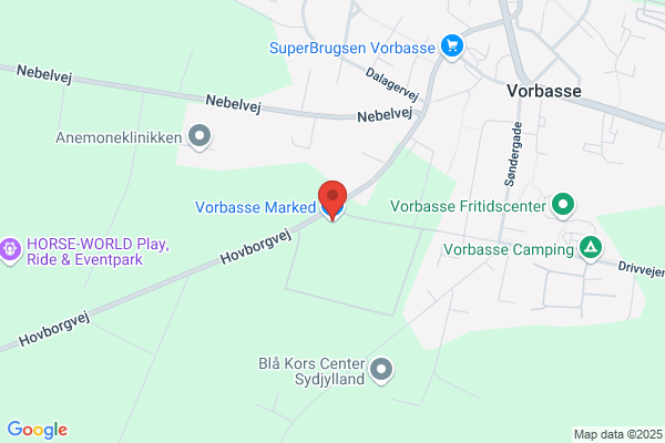 Bekne