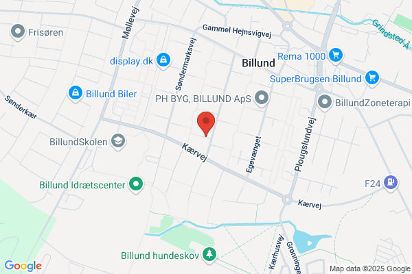 Det Radikale Venstre i Billund