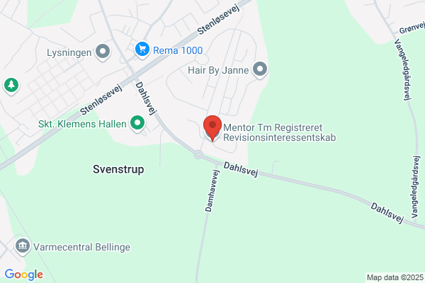 Revisionsfirmaet Mentor ApS
