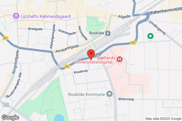 Dansk Revision Roskilde A/S