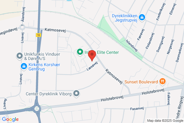 Mellemøstlig Tolkeservice