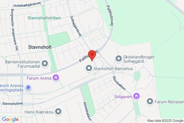 Skjoldmøerne