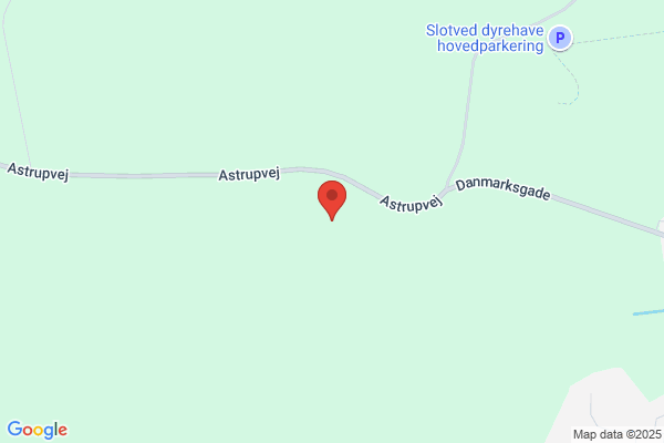 Slotved Byg